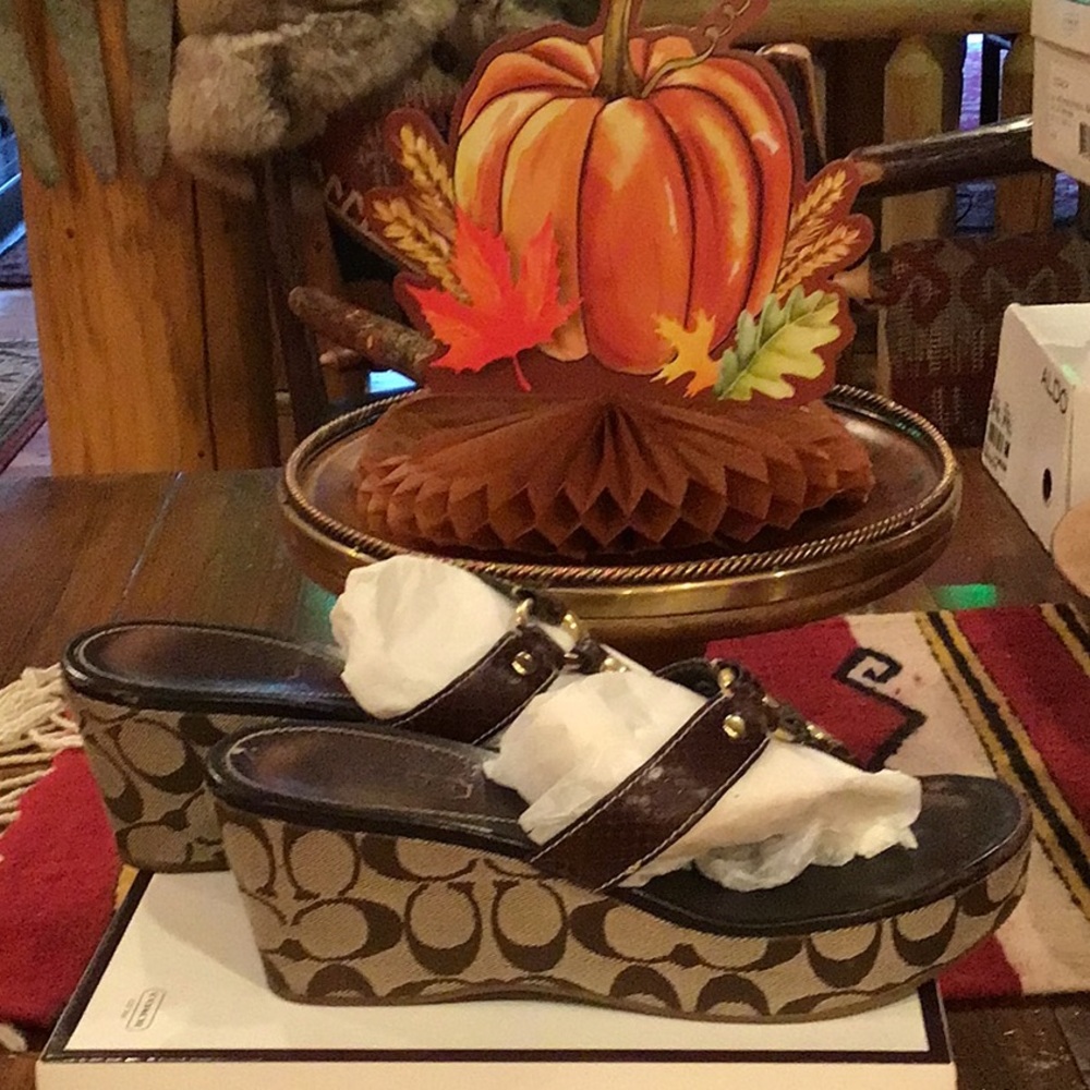 Coach Dark Brown Evita Printed Python Sandal. - image 4